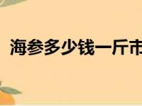 海参多少钱一斤市场价2023（海参多少钱）