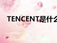 TENCENT是什么文件（tencent是什么）