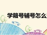 学籍号辅号怎么查（学籍辅号查询系统）