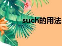 such的用法总结（such的用法）