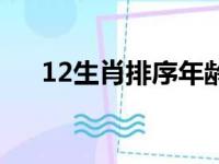 12生肖排序年龄猴（12生肖排序年龄）