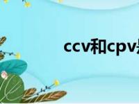 ccv和cpv是什么病毒（ccv）