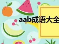 aab成语大全3字成语（aab成语）