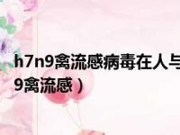 h7n9禽流感病毒在人与人之间不能持续有效传播排序（n7n9禽流感）