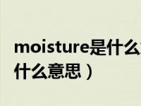 moisture是什么意思中文翻译（moisture是什么意思）