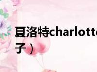 夏洛特charlotte原著（charlotte夏洛特本子）