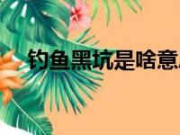 钓鱼黑坑是啥意思（钓鱼黑坑什么意思）