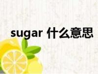 sugar 什么意思（sugar是什么意思中文）