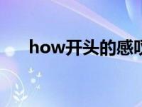 how开头的感叹句结构（感叹句结构）