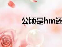 公顷是hm还是hm2（公顷符号）