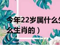 今年22岁属什么生肖的2022（今年22岁属什么生肖的）