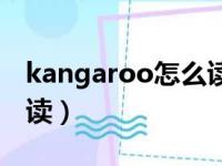 kangaroo怎么读正确发音（kangaroo怎么读）