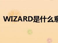 WIZARD是什么意思（wizard是什么意思）