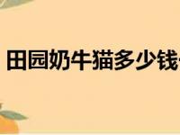 田园奶牛猫多少钱一只（奶牛猫多少钱一只）