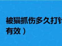 被猫抓伤多久打针有效果（被猫抓伤多久打针有效）