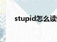 stupid怎么读语音（stupid怎么读）