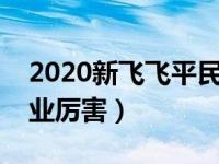 2020新飞飞平民玩什么职业（新飞飞什么职业厉害）