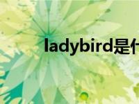 ladybird是什么意思（ladybird）