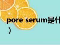 pore serum是什么意思（serum是什么意思）