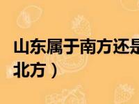 山东属于南方还是北方的（山东属于南方还是北方）