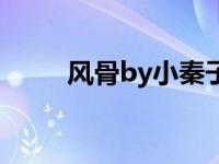 风骨by小秦子完（风骨by小秦子）