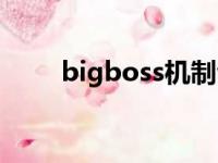 bigboss机制包括哪些（bigboss）