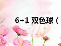 6+1 双色球（双色球公开一注6十1）