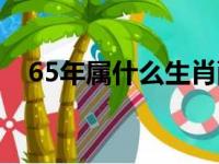 65年属什么生肖配对（65年属什么生肖）