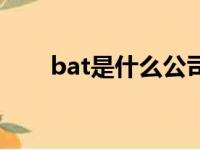 bat是什么公司（bat是中国公司吗）