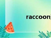 raccoon浣熊（raccoon）