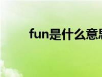 fun是什么意思（high是什么意思）