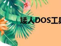 矮人DOS工具箱下载（矮人dos）