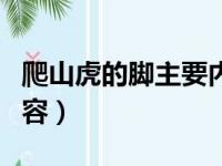 爬山虎的脚主要内容简单（爬山虎的脚主要内容）