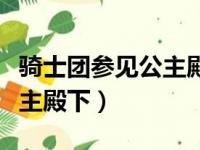 骑士团参见公主殿下什么意思（骑士团参见公主殿下）