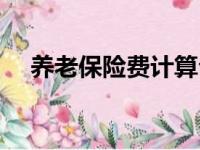 养老保险费计算公式（保险费计算公式）