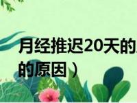 月经推迟20天的原因和危害（月经推迟20天的原因）