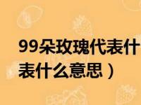 99朵玫瑰代表什么意思啊女生（99朵玫瑰代表什么意思）