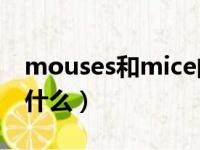 mouses和mice的区别（mouse复数形式是什么）