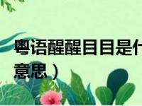 粤语醒醒目目是什么意思（广东话醒目是什么意思）