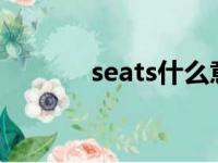 seats什么意（seat什么意思）