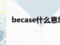 becase什么意思?（becase什么意思）