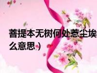 菩提本无树何处惹尘埃出自哪里（菩提本无树何处惹尘埃什么意思）