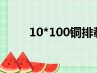 10*100铜排载流量（铜排载流量）