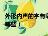 外形内声的字有哪些100个（外形内声的字有哪些）