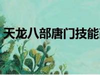 天龙八部唐门技能改动（天龙八部唐门技能）