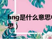 hng是什么意思中文翻译（hing中文什么意思）