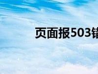 页面报503错误（503错误页面）