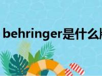 behringer是什么牌子（bering是什么牌子）