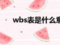 wbs表是什么意思（wbs是什么意思）