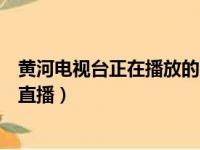 黄河电视台正在播放的电视剧（黄河电视台谁是高手双升赛直播）